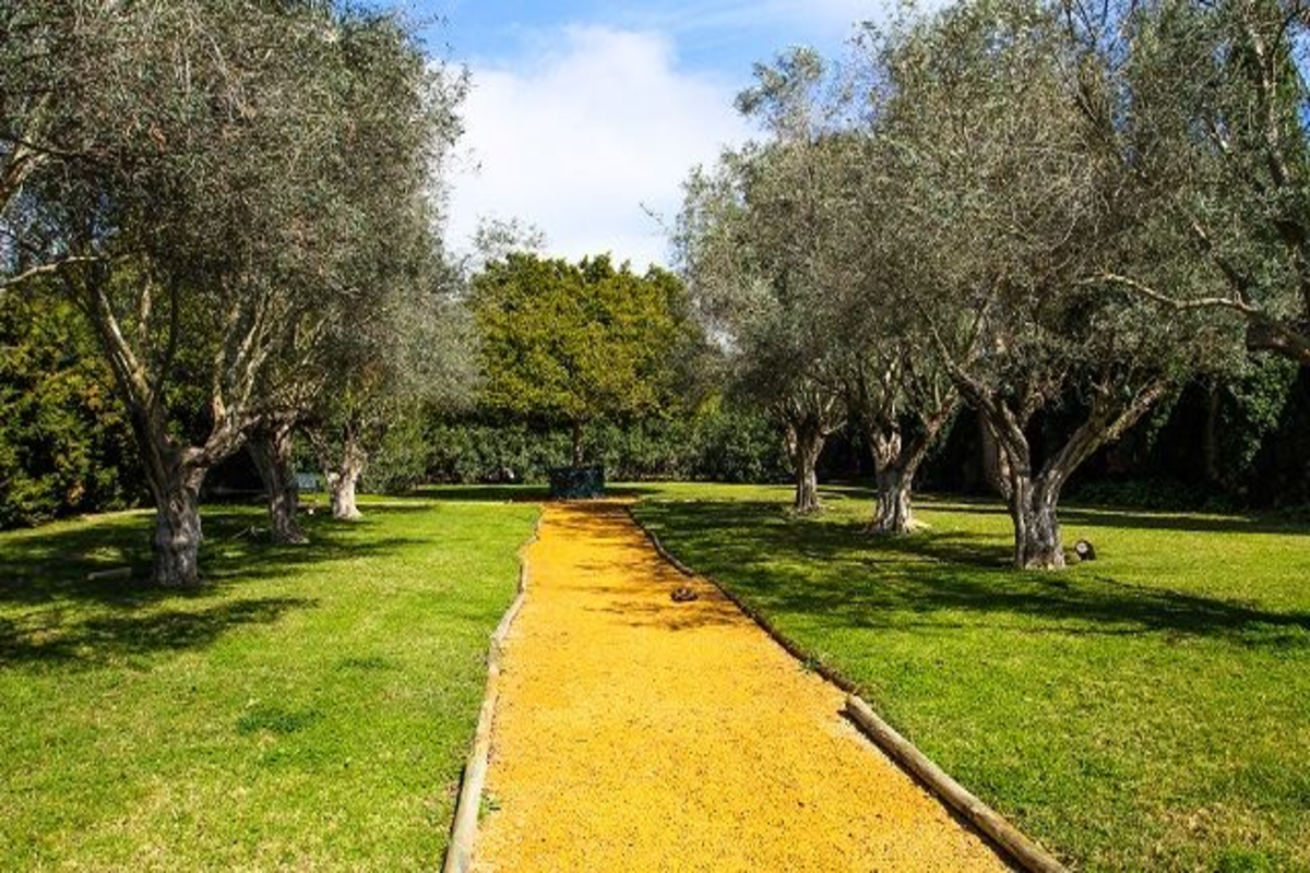 Espectacular finca rustica del siglo XIX 