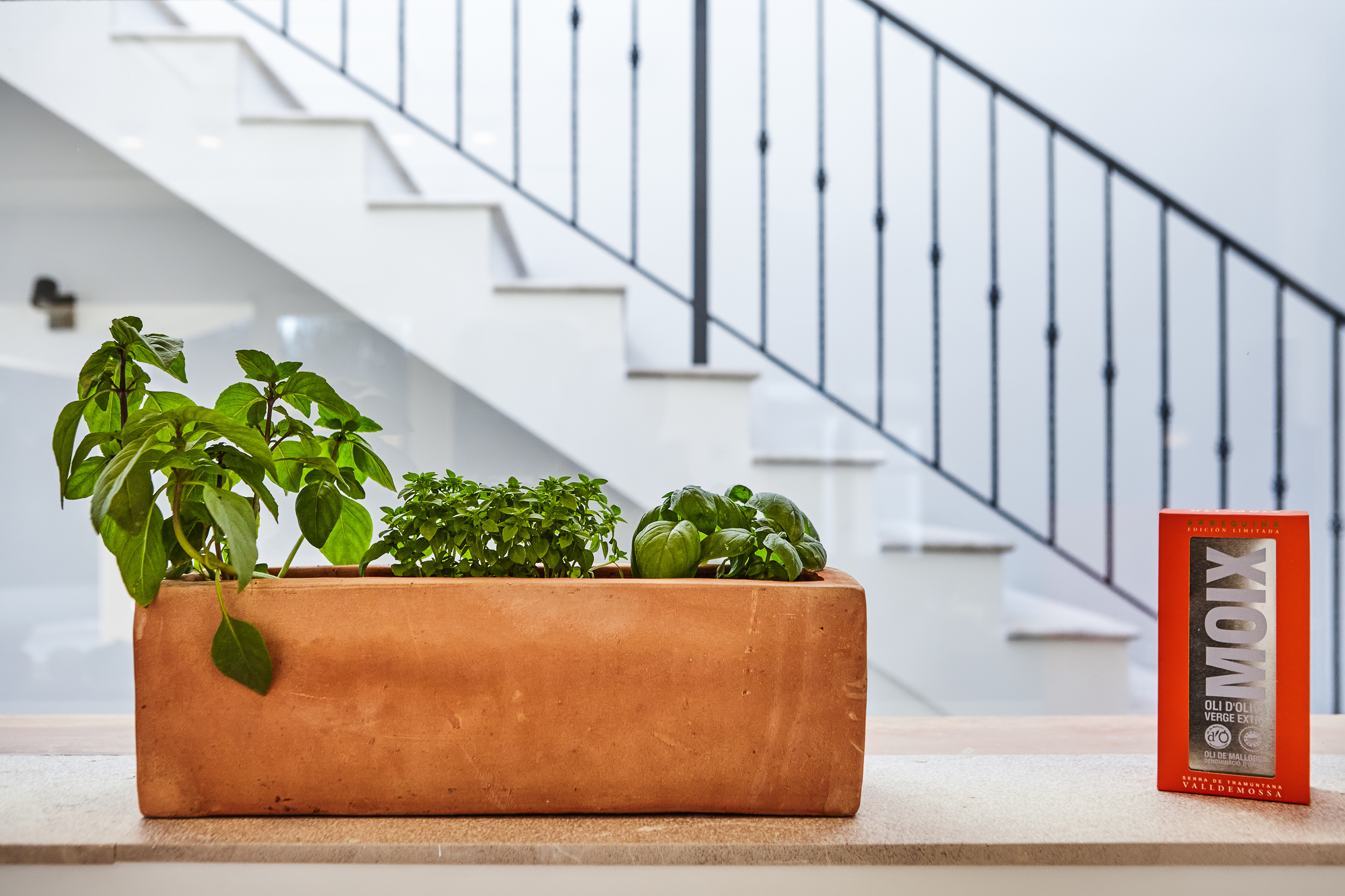 Dos casas de lujo en Nova Santa Ponsa