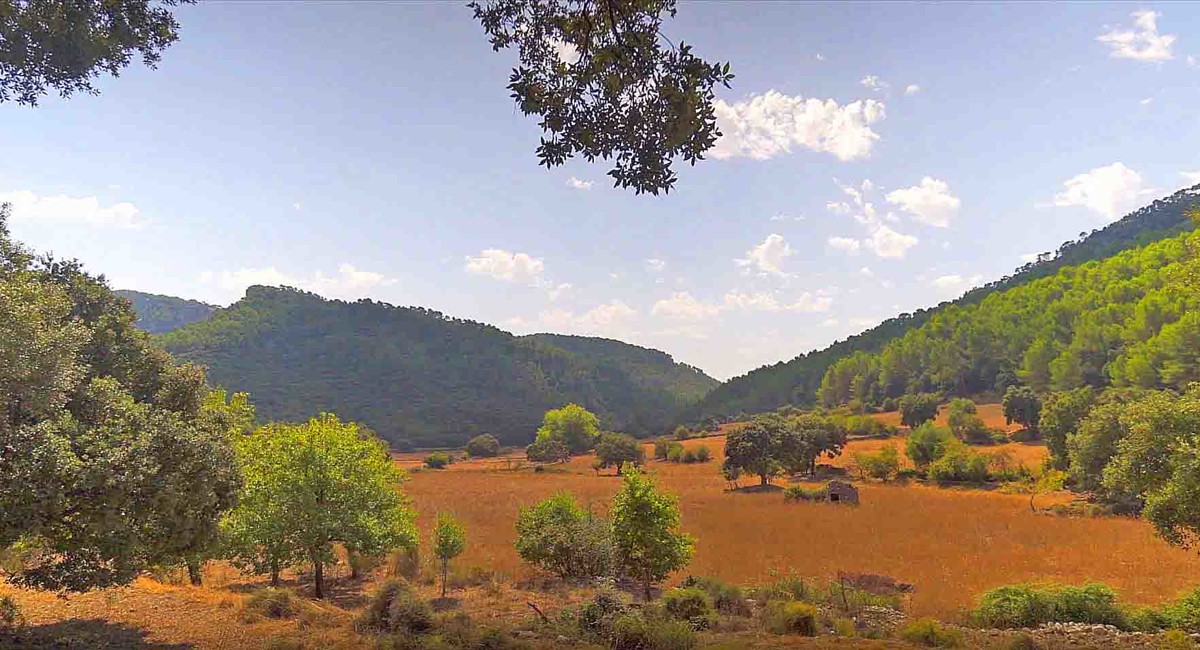 Impresionante mansion en Orient