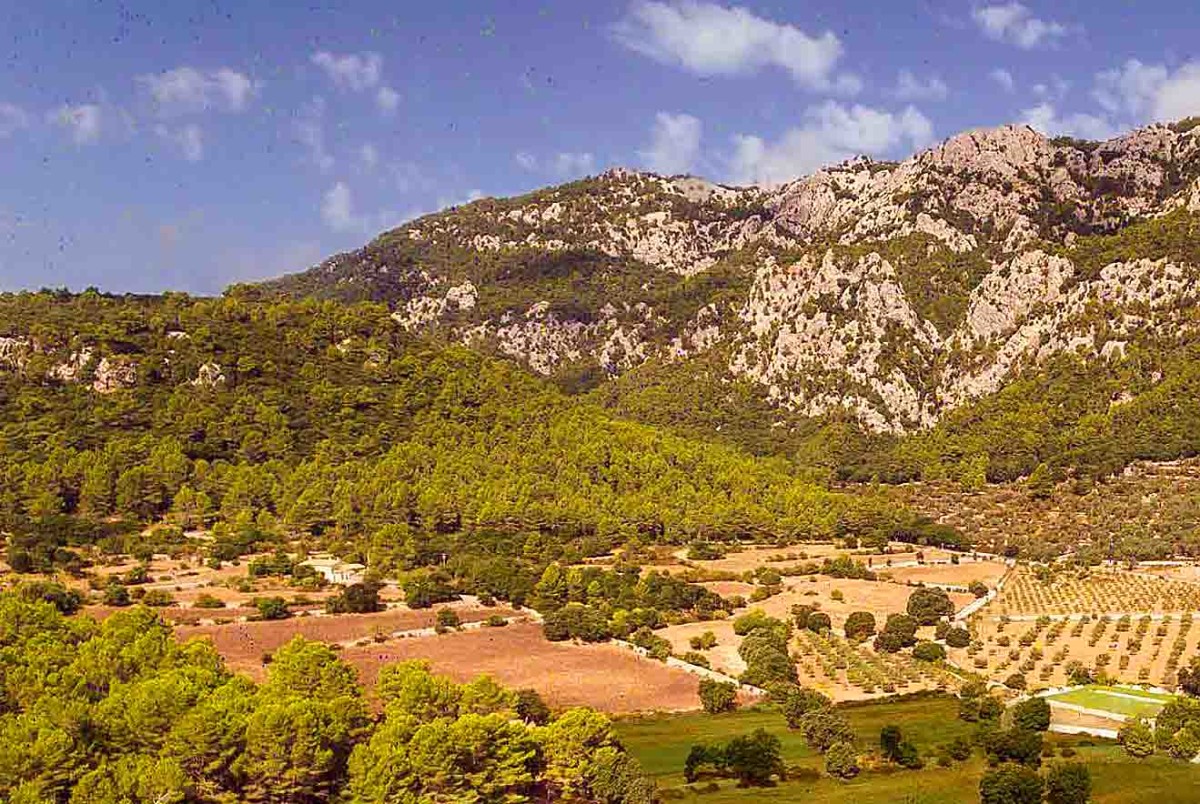 Impresionante mansion en Orient