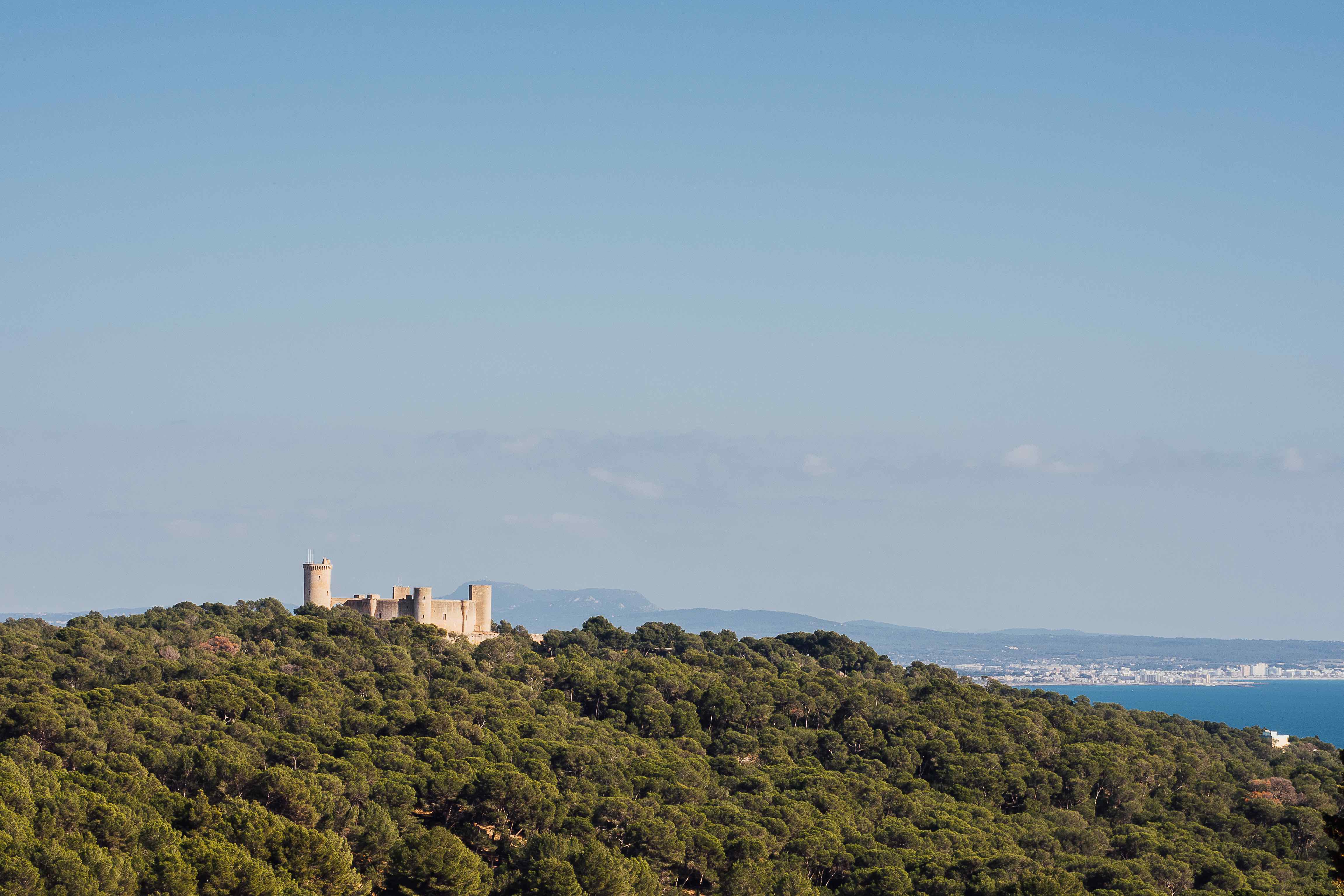 Luxury apartment in Palma - Genova with sea views