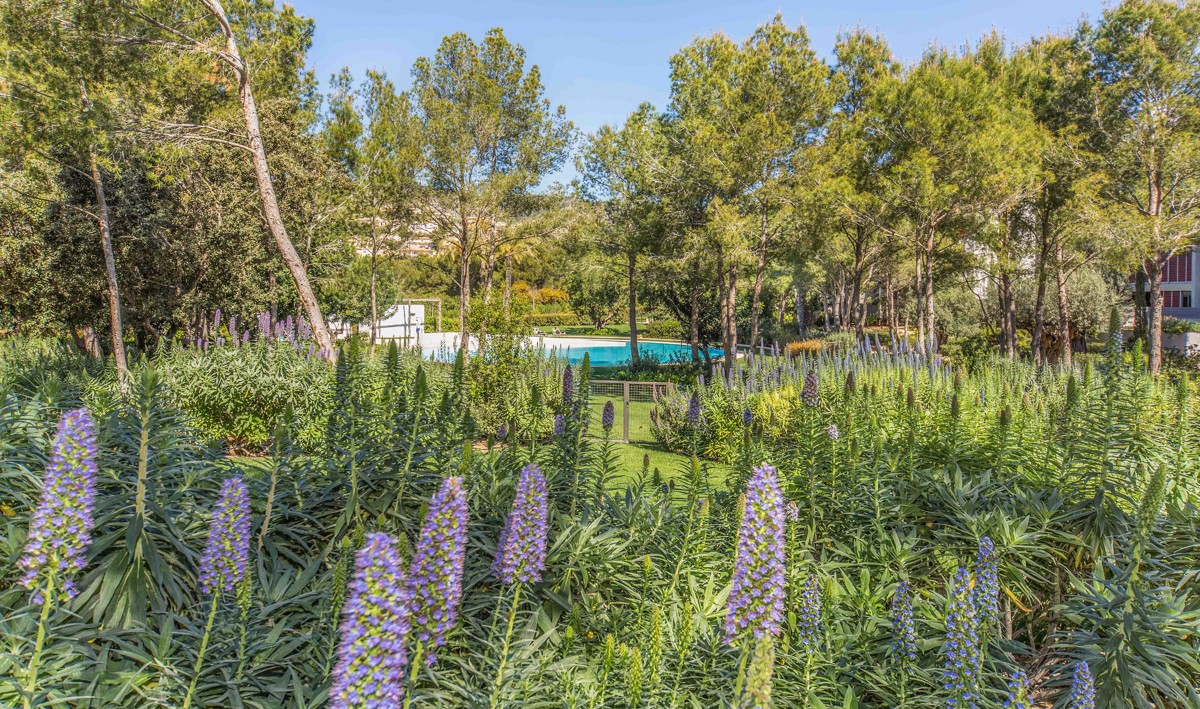  Luxury 2 bedroom flat in Bendinat 