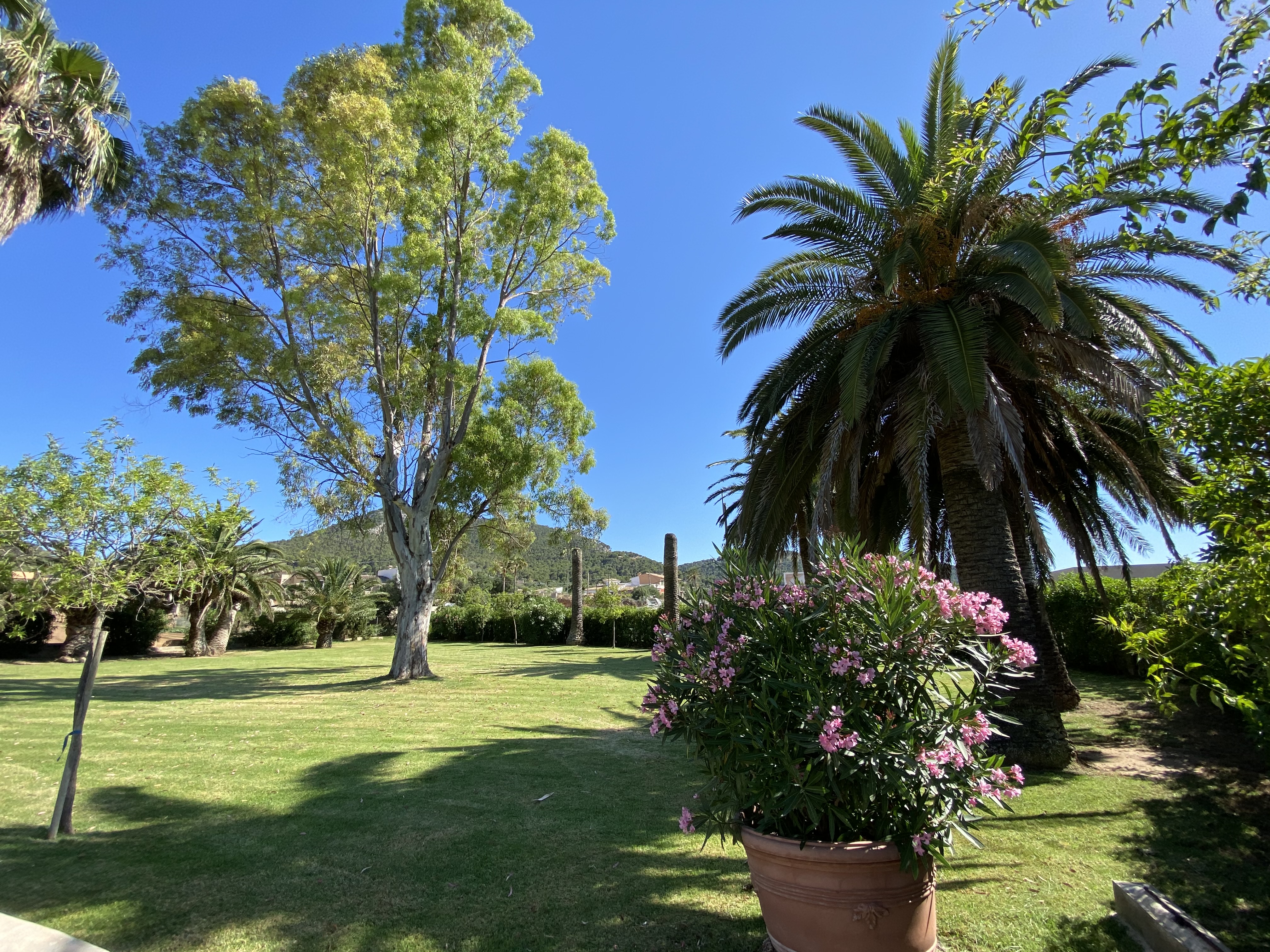 Acogedora casa de campo en Port Andratx