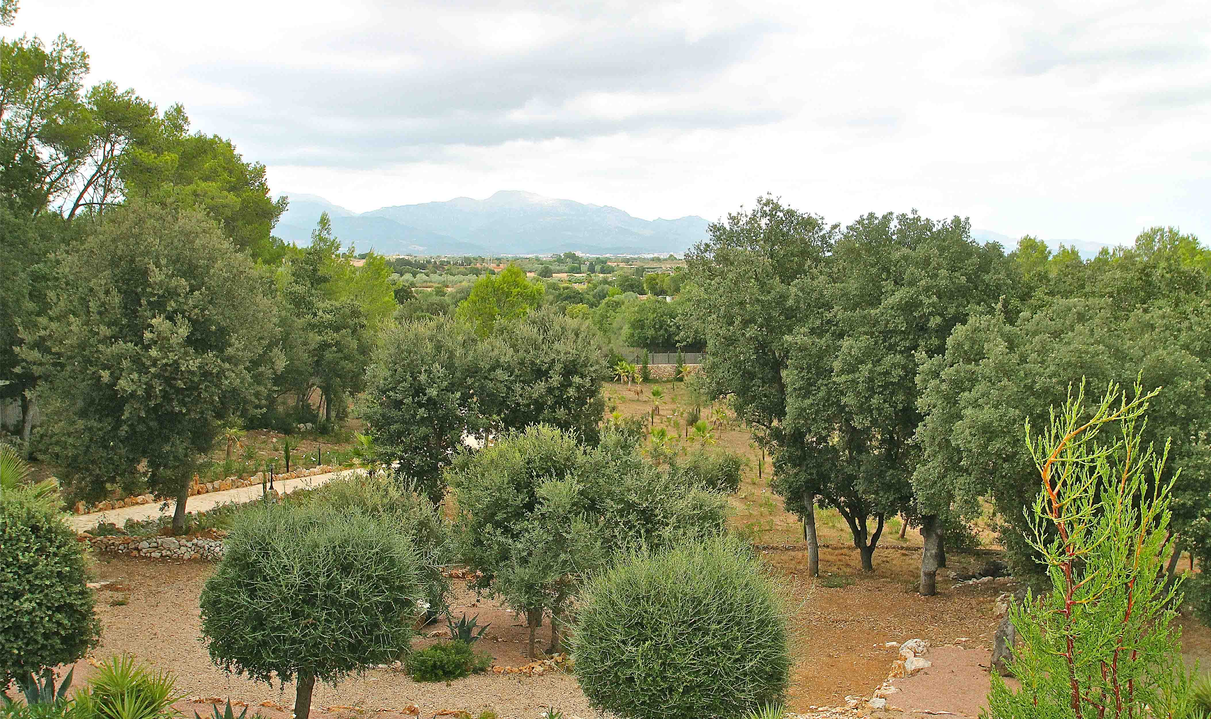 Breathtaking country home in idyllic location