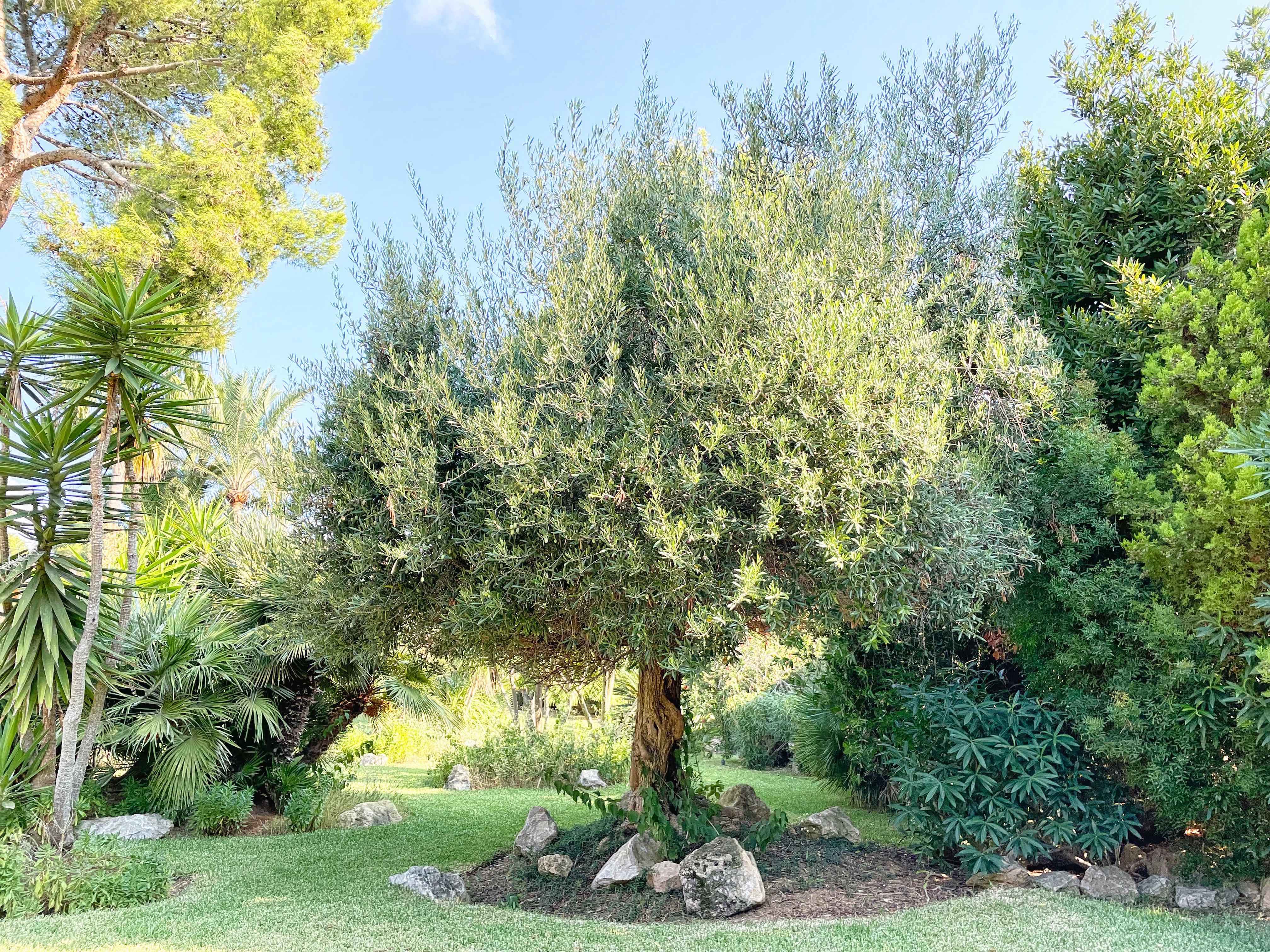 Townhouse in a beautiful residential community in Santa Ponsa