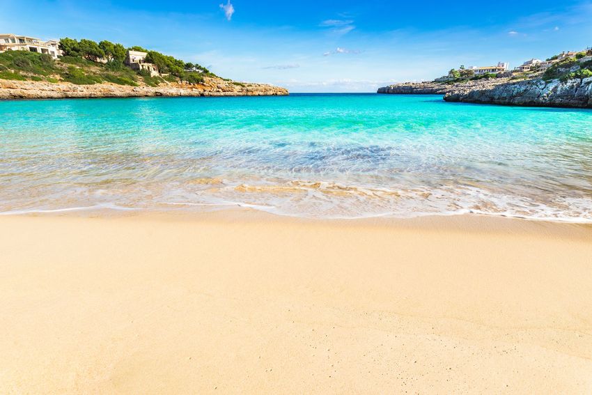 Odoo • Text and Image