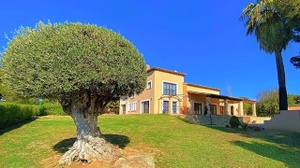 Santa Ponça WEB-30.jpg